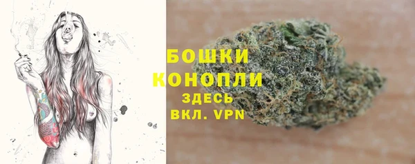 гидра Аркадак