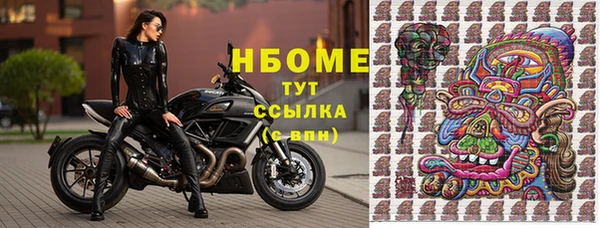 гидра Аркадак