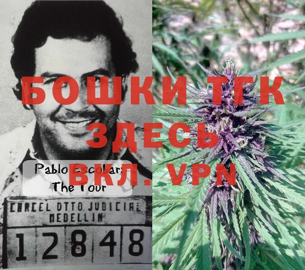 гидра Аркадак