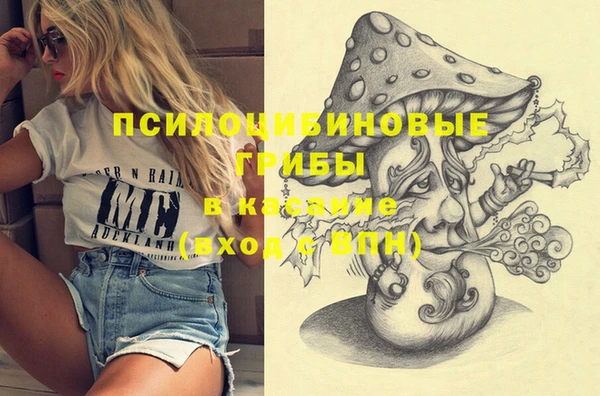прущая мука Армянск