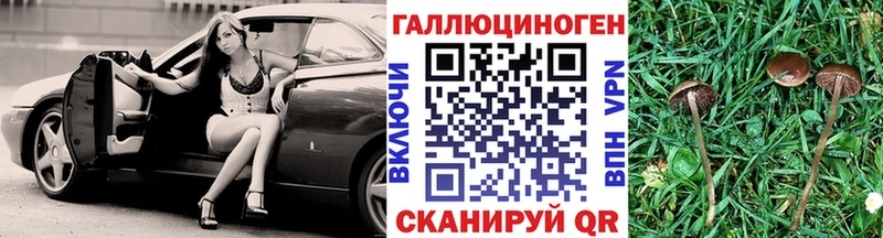 Псилоцибиновые грибы мицелий  цена наркотик  Жиздра 